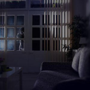 burglar-banner burglar-banner